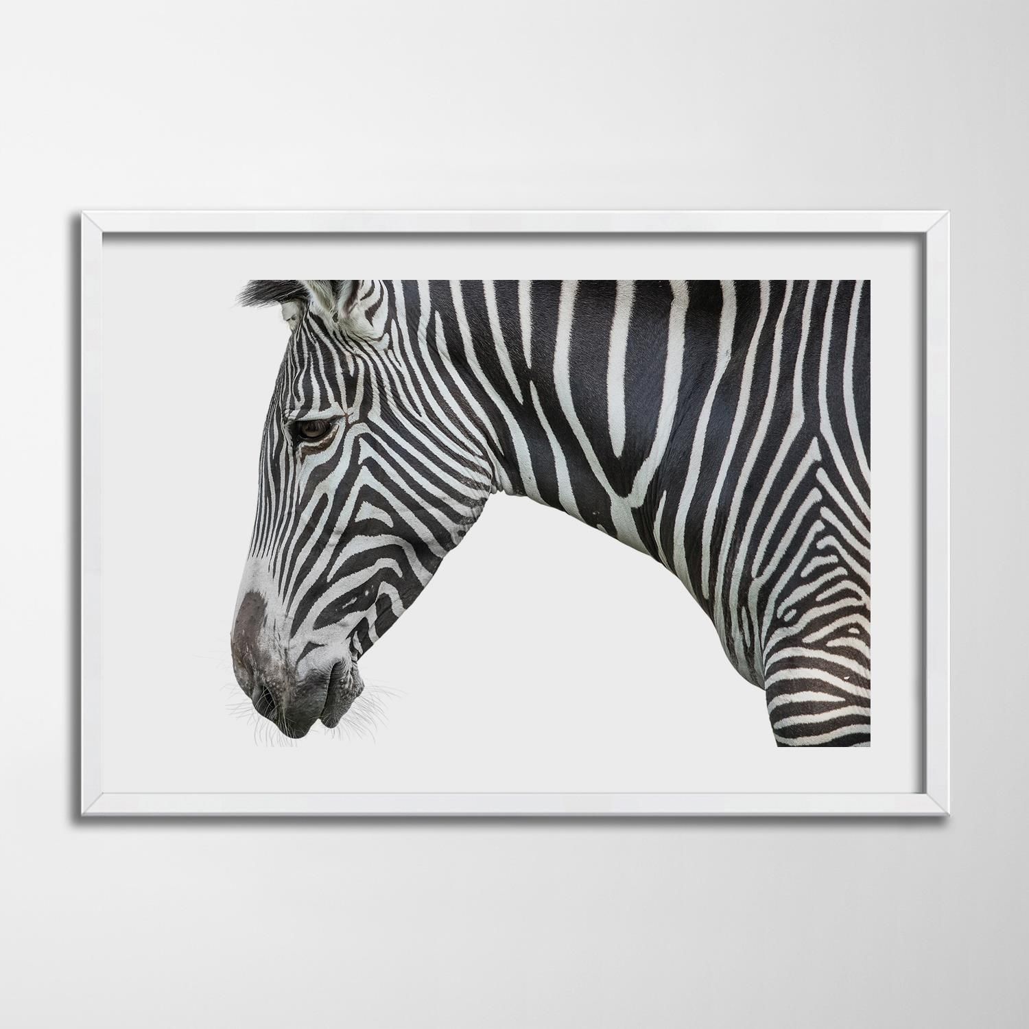 Obraz W Ramie Na Ścianę Zebra Głowa Pasy 70X50 Cm Opinie i atrakcyjne