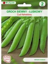 Groch Siewny Łuskowy Cud Kelvedonu 30G Legutko Ceny i opinie Ceneo pl