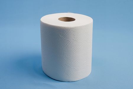 Mistral Ręcznik Papierowy Celuloza 100M X 6Szt. (Midia618) - zdjęcie 2