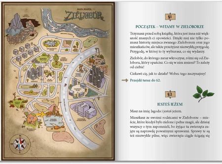 Zielobór. Czy zdołasz uratować miasto? Gra książkowa - zdjęcie 2