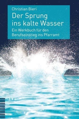 Der Sprung Ins Kalte Wasser Noack Tobias Literatura Obcoj Zyczna