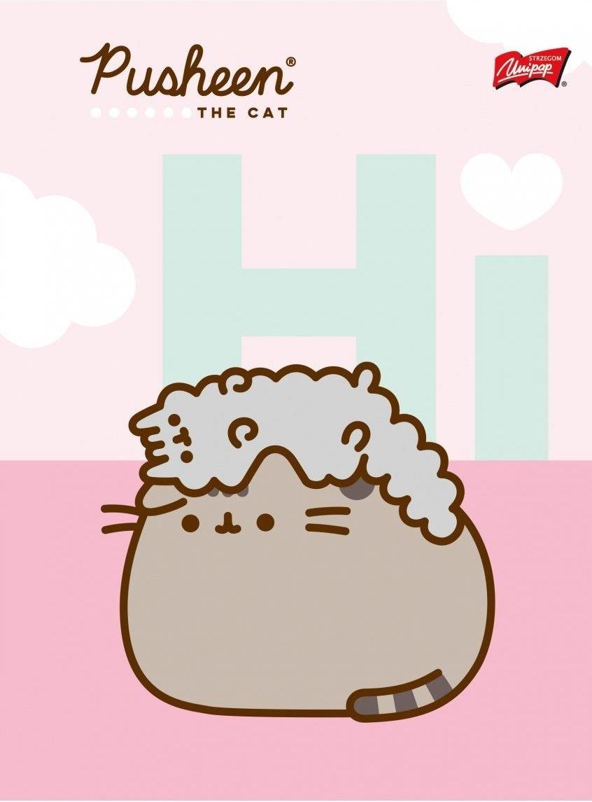 Unipap X Zeszyt Pusheen A W Kolorow Lini Kartki Ceny I Opinie