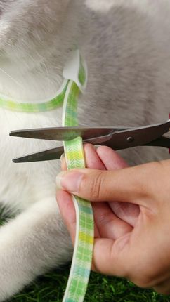 Nobleza Obroża Dla Kota Przeciw Pchłom I Kleszczom 36cm 41381 - zdjęcie 2