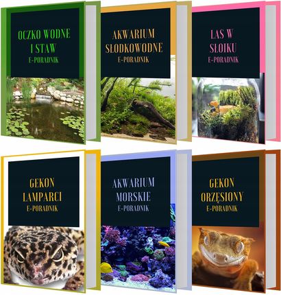 Repti-Zoo Zraszacz Automatyczny Miniaturowy Kompaktowe Wymia - zdjęcie 5