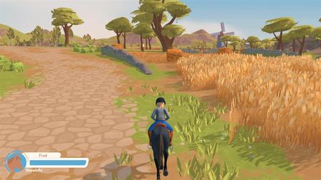 My Life Riding Stables 3 (Gra NS) - zdjęcie 2