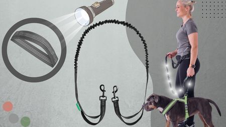 Smycz Taśma Linka Amortyzatorem Biegania Z Psem 2M Fit1121 - zdjęcie 5