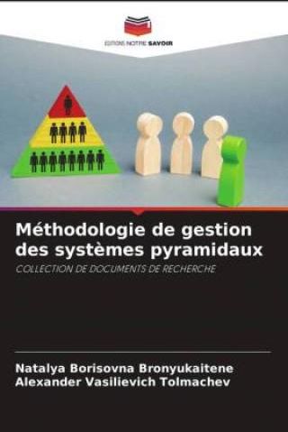 M Thodologie De Gestion Des Syst Mes Pyramidaux Literatura