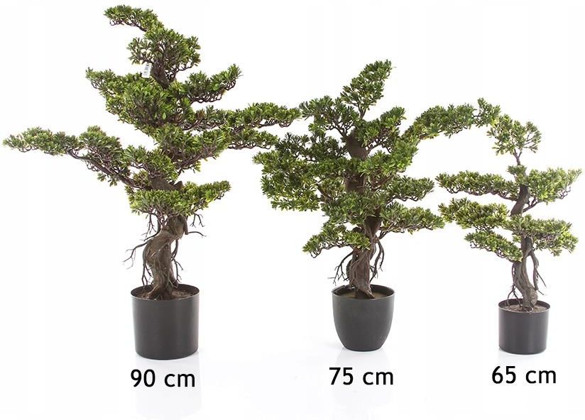 Modrzew Sztuczny Bonsai Larch X Cm Drzewko Ceny I Opinie Ceneo Pl