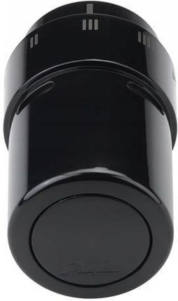 Danfoss Rax (013G6075) - zdjęcie 2
