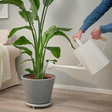 Ikea Salladskal Konewka, Kremowy 9L - zdjęcie 2