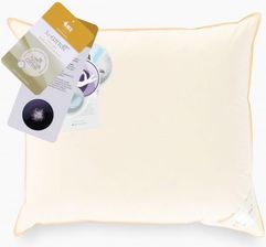 Zdjęcie Amz Kołdy Poduszki Poduszka Trzykomorowa Puch 70% Basic Plus Natural Exclusive Uu 70X80 Cm Biały 3872-87348 - Nowy Dwór Mazowiecki