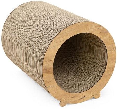 Gattino Drapak 12 Mia Dąb Lancelot - zdjęcie 3