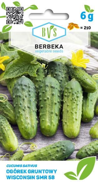 Berbeka Vegetable Seeds Nasiona Ogórek Konserwowy Wisconsin Smr 58 100G