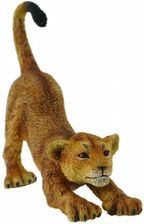 Zdjęcie Collecta Zwierzęta dzikie Lwiątko Przeciągające Się (88416) - Torzym