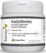 Zdjęcie Kenay Kadzidłowiec Formula Casperome Indena Phytosome 300 Kapsułek 6328 - Szczecin