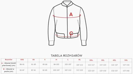 Kurtka Dwustronna Alpha Industries MA-1 TT NASA Reversible II 186101 31 - Srebrna - zdjęcie 4