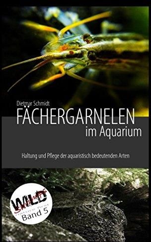 F Chergarnelen Im Aquarium Haltung Und Pflege Der Aquaristisch