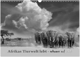 Afrikas Tierwelt Lebt Schwarz Auf Wei Wandkalender Din A Quer