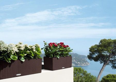 Lechuza Balconera Cottage 80 brązowy mokka 3-15615 - zdjęcie 6