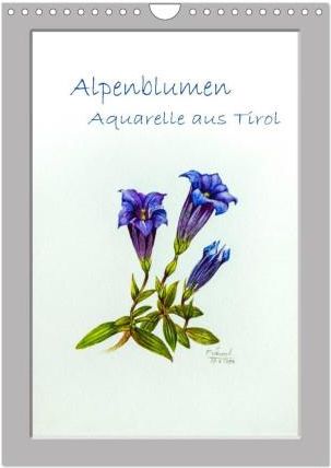 Alpenblumen Aquarelle Aus Tirol Wandkalender Din A Hoch