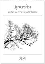 Lignografica Muster Und Strukturen Der B Ume Wandkalender Din