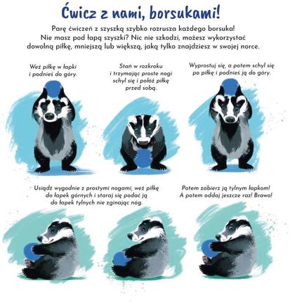 Mała Tarmosia. Czy borsuki się bawią? - zdjęcie 4