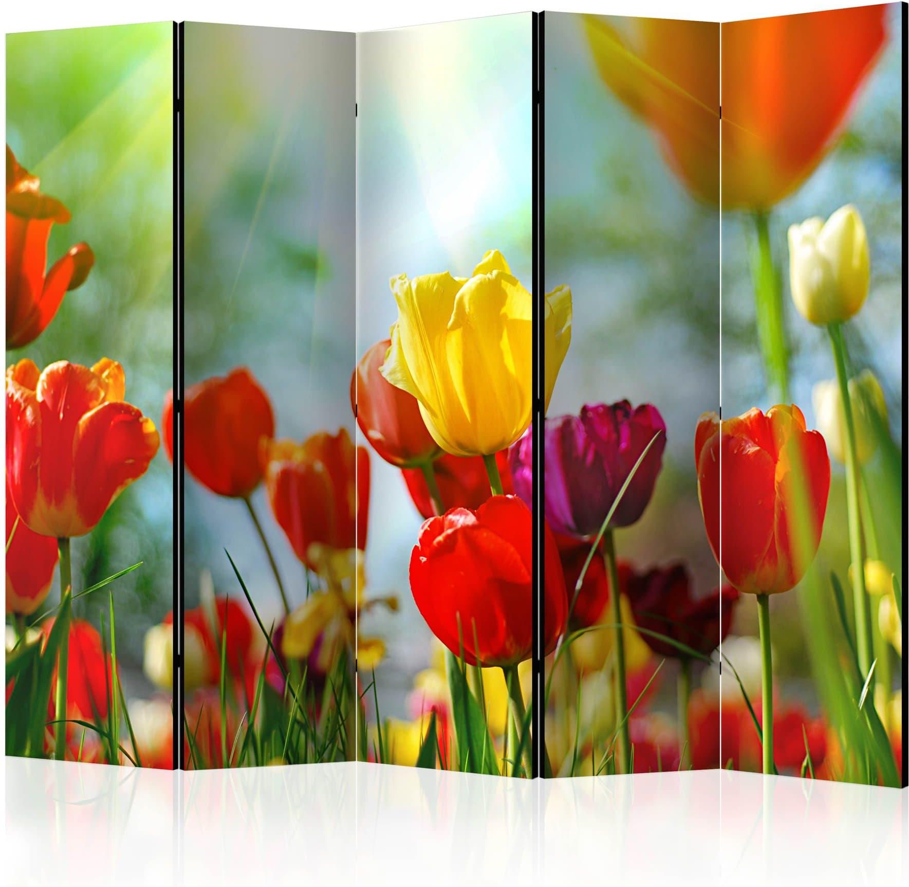 Artgeist Parawan 5 Częściowy Wiosenne Tulipany Ii Room Dividers 225X172