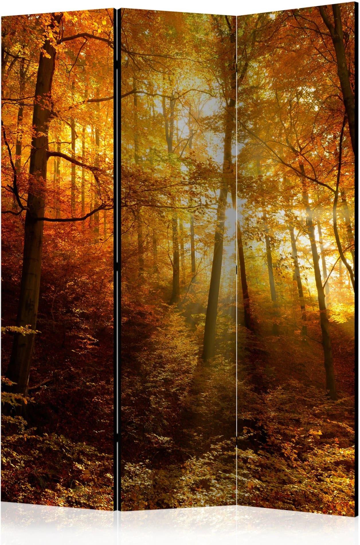 Artgeist Parawan 3 Częściowy Jesienna Iluminacja Room Dividers 135X172