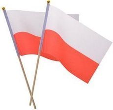 Zdjęcie Arpex Materiałowa Flaga Na Patyczku (2Szt) - Gorzów Wielkopolski