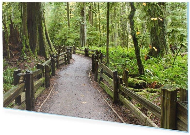 Homeprint Obraz Na Szkle Akrylowym Park Na Wyspie Vancouver X Cm