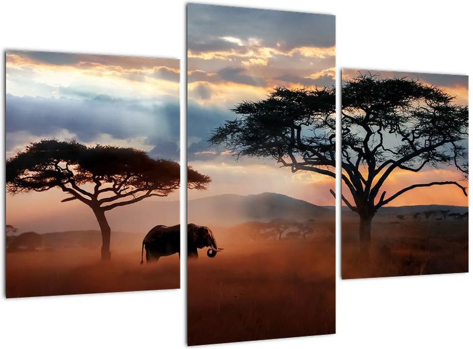 Domali Obraz Park Narodowy Serengeti Tanzania Afryka Tryptyk 90x60