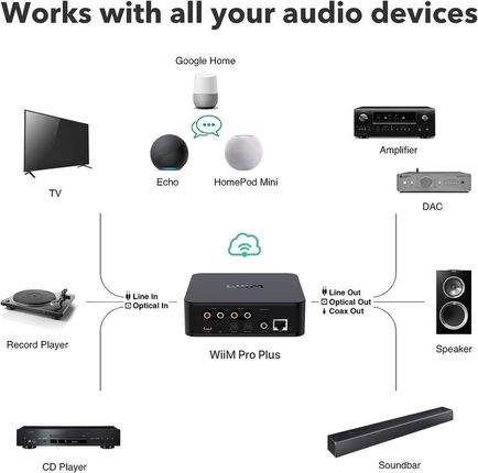 WiiM Pro Plus - zdjęcie 4