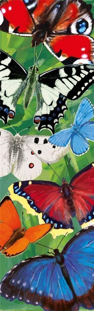 Zdjęcie Plan Zakładka - Motyle - Czerwionka-Leszczyny