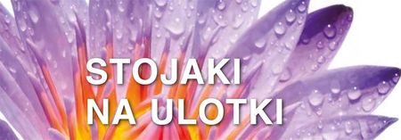 Stojak Na Menu Prezenter Plexi Na Ulotkę A4 - zdjęcie 5