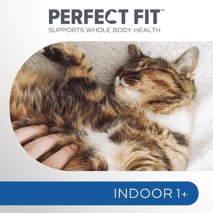 Perfect Fit Indoor 1+ Sucha Dla Kotów Niewychodzących Z Kurczakiem 7kg - zdjęcie 3