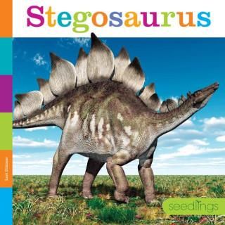 Stegosaurus Literatura obcojęzyczna Ceny i opinie Ceneo pl