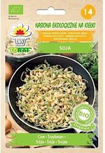 Zdjęcie BIO Kiełki Soja 30 g. - Wąsosz