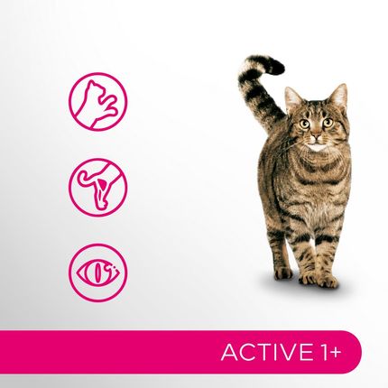 Perfect Fit Active 1+ Z Wołowiną Sucha Dla Aktywnych Dorosłych Kotów 750g - zdjęcie 2