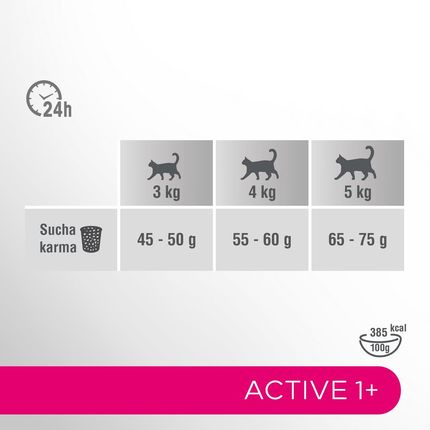 Perfect Fit Active 1+ Z Wołowiną Sucha Dla Aktywnych Dorosłych Kotów 750g - zdjęcie 3