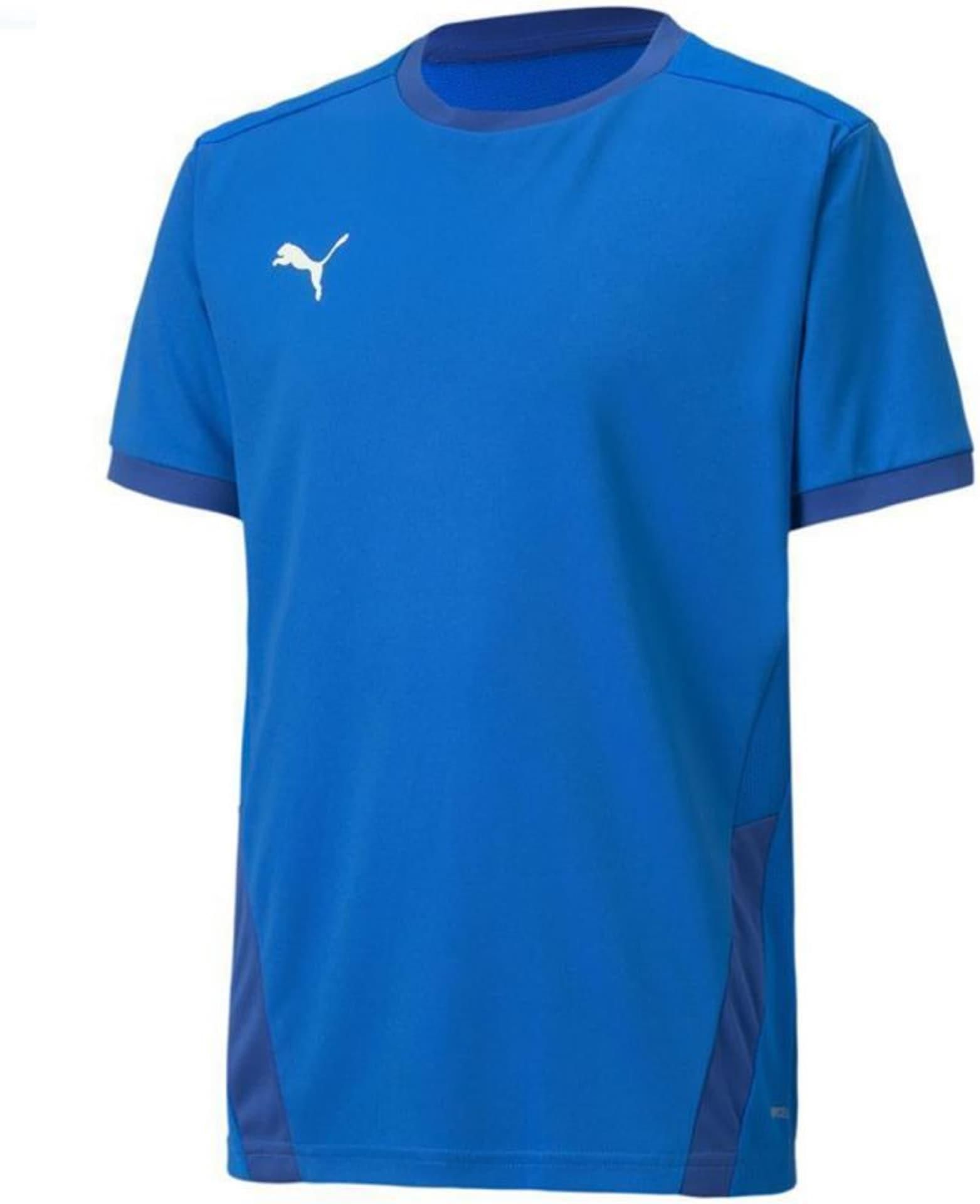 Koszulka Puma TeamGOAL 23 Jersey Jr 704160 Kolor Niebieski Rozmiar