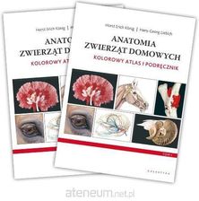 Anatomia zwierząt domowych. Kolorowy atlas - Hans-Georg Liebich, Horst Erich Konig [KSIĄŻKA]
