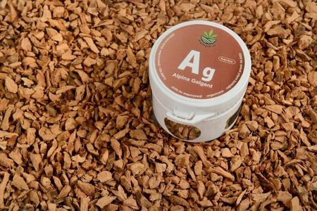 Hempbio Alpinia Galgant Do Waporyzacji Susz Zioła Odchudza - zdjęcie 2