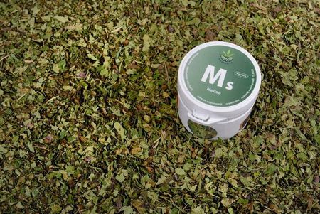 Hempbio Melisa Do Waporyzacji Susz Zioła Sen Nerwy Apetyt 10g - zdjęcie 3
