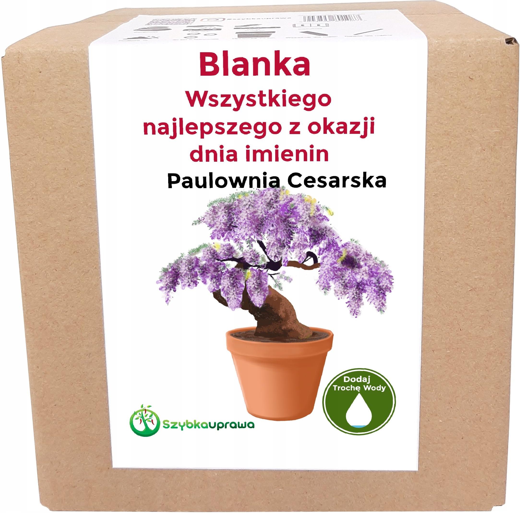 Zestaw Do Uprawy Paulownia Cesarska Imieniny Blanki Blanka Ceny I