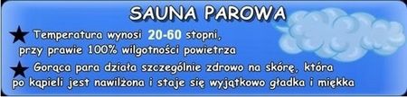 Kabina prysznicowa z siedziskiem i sauną 120x85 WSH7716WS - zdjęcie 3