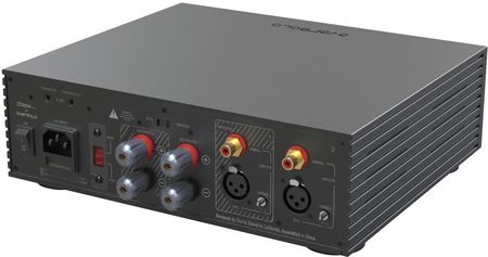 EverSolo AMP-F2 Czarny - zdjęcie 2