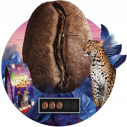 Blue Orca Coffee Ziarnista 2Kg Zestaw Świeżo Palona Z Palarni Kawy Coffe Ave+Jaguar - zdjęcie 4
