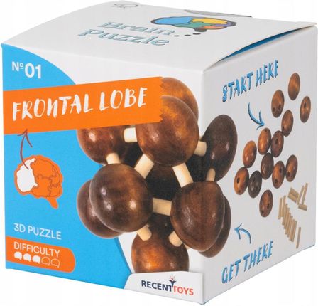 Recent Toys Brain Puzzle 1 - Frontal Lobe - poziom 3/5 - zdjęcie 3