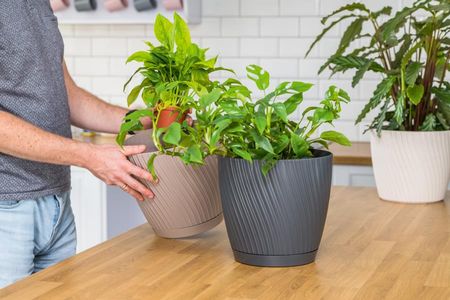 Form-Plastic Doniczka Okrągła Mika 27 + Podstawka Donica 4590040 - zdjęcie 4