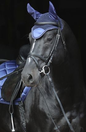 Nauszniki Dla Konia Empara Cob/Full Covalliero - zdjęcie 2